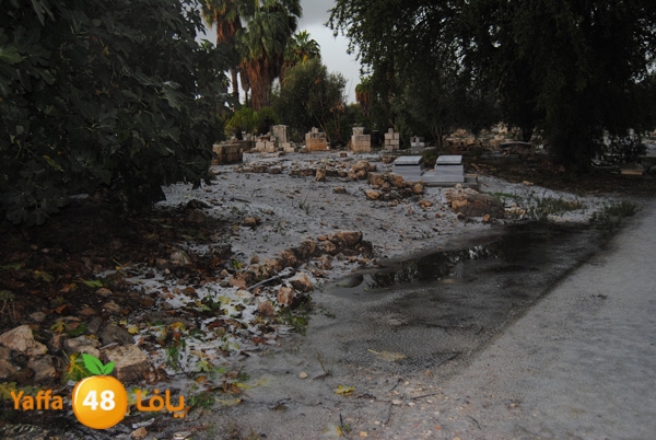 ice ramla 1213 (10).JPG